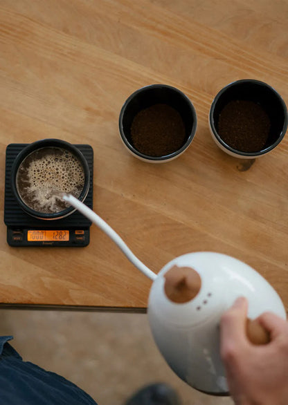 Brewista Artisan Variable Temperature Kettle