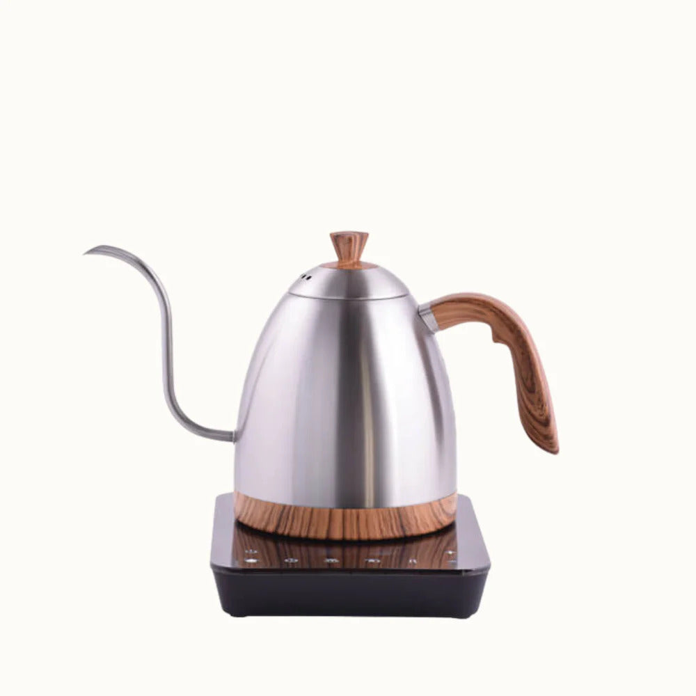 Brewista Artisan Variable Temperature Kettle
